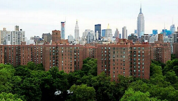stuyvesant88